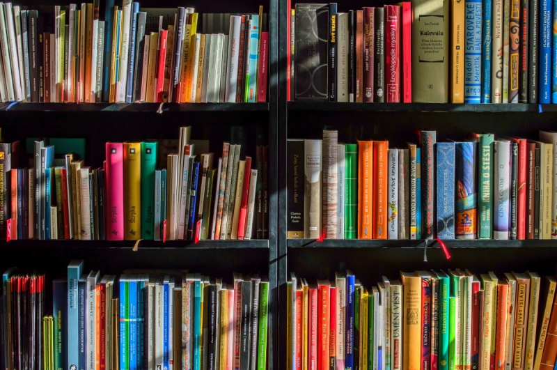 magasin-HYERES-min_books_bookstore_book_reading_shop_writer_sale_books_read-822866